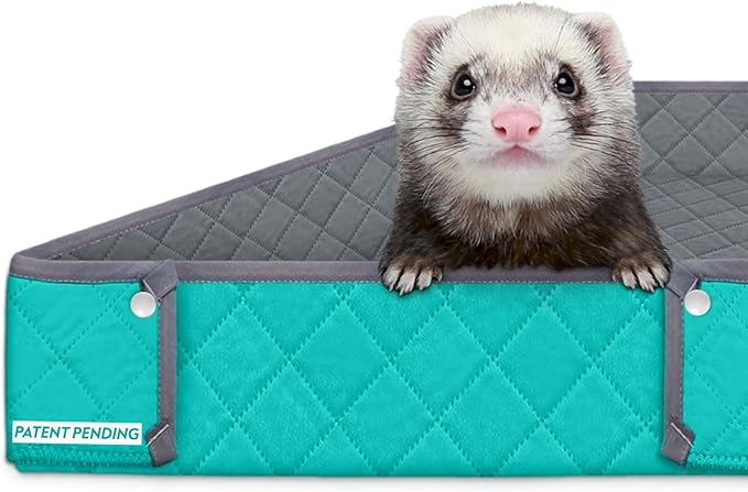 Paw Inspired Critter Box Washable Cage Liner, Reversible Fleece Bedding with Raised Sides for Guinea Pigs and Other Small Animals (Gray/Green, Critter Nation)