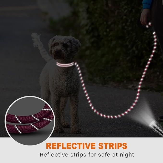 Taglory Rope Dog Leash 6 FT with Comfortable Padded Handle, Highly Reflective Threads Leash and Anti-Tangle Clip for Walking Small Dogs, 3/8 inch, Hotpink