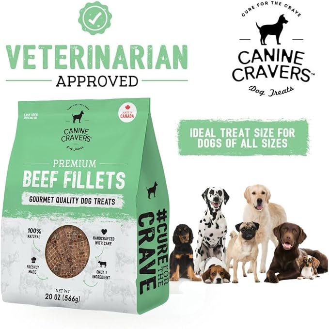 Canine Cravers Single Ingredient Dog Treats – Human Grade Air Dried Hypoallergenic Pet Food – Grain, Gluten, and Soy Free – 100% All Natural (Premium Beef Fillets, 20 oz)