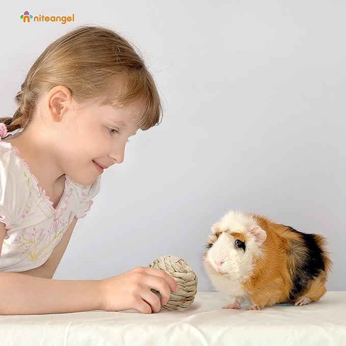 Natural Bunny Chew Toys Funny Safe Hay Grass Ball for Chinchilla Guinea Pig Rats Rabbits Hamster Gerbil Degu (6PC)