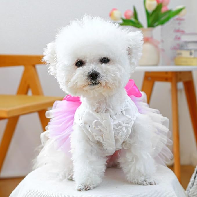 ANIAC Fancy Small Dog Dress, Bow Knot Girl Puppy Clothes, Cat Princess Dress, Spring Dog Clothes Female, Formal Pet Pary Outfit for Wedding Birthday Valentines (Red Bow, Medium)