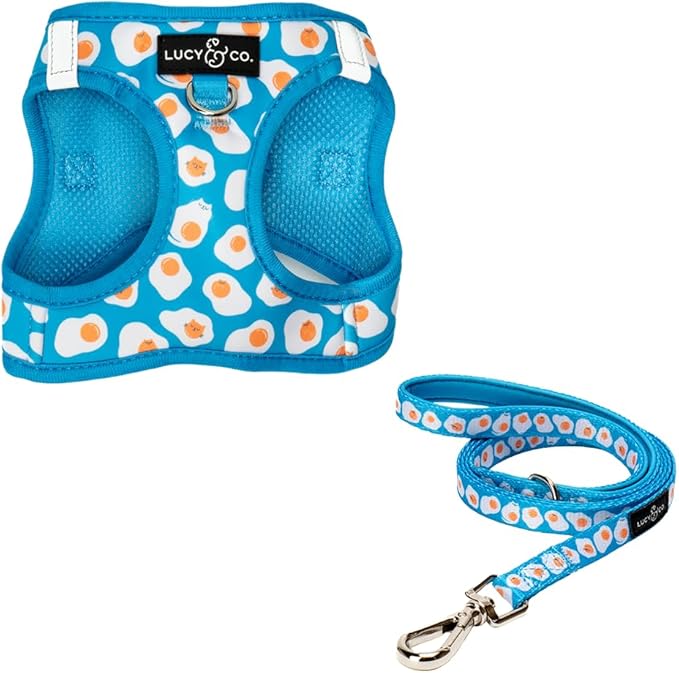 Lucy & Co. Eggcelent Step-in Cat Harness & Leash Bundle – Reflective, Breathable & Adjustable Harness for Cats, Kittens & Small Dogs, Lightweight & Secure and Dual Leash Clips – Large