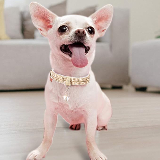 PetsHome Cat Collar, Dog Collar, [Bling Rhinestones] Premium PU Leather with Pendant Adjustable Collars for Cat and Small Dog Extra Small Gold