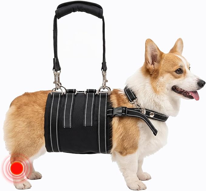 CWV Adjustable All Dog Lift Harness for Large Dogs, Soft and Portable Dog Dling for Large Dogs Hind Leg Support, Help em up Harness for Senior, Injured, Disabled and After Surgery Dogs, Medium