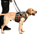 Dog Front/Hind Legs Lift Sling, Mobility Aid Assistance Hip/Joint Support Recovery for Senior Disabled Injured Dog Harness (red frontleg,Small)