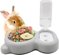 Tfwadmx Pet Double Dishes Rabbit Food Water Dispenser Set Cat Self Filling Bowls No Spill Dog Automatic Waterer Bottle Anti Gravity Feeder Cute Detachable Stainless Steel Bowl for Kitten Puppy Bunny