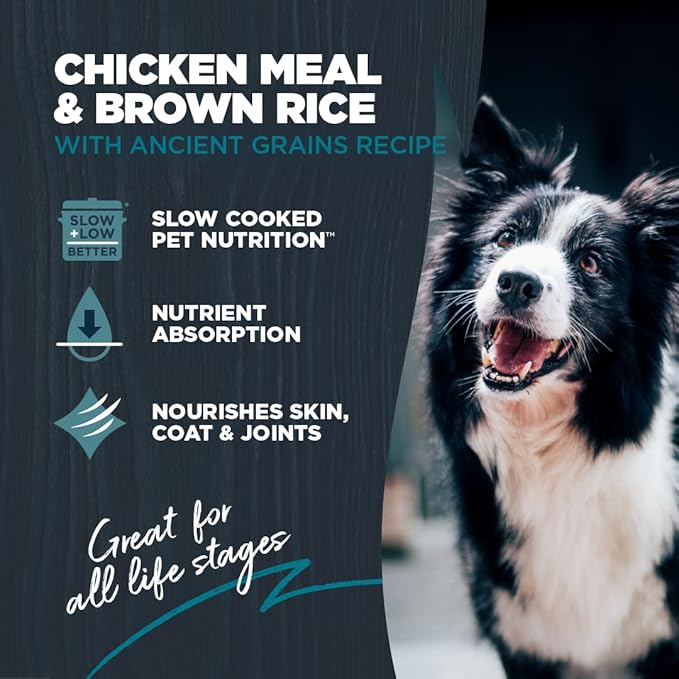 Blackwood Complete & Balanced Diet Dry Dog Food, Chicken Meal & Brown Rice with Ancient Grains, 10 Pound Bag, Slow Cooked with Vitamins & Minerals