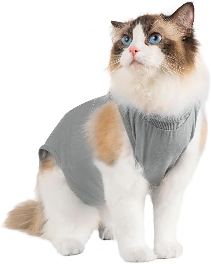Avont Cat Recovery Suit Female Kitten After Spay Surgery, Breathable Modal Cotton Cat Onesie for Wound & Skin Disease Care, Machine Washable -Grey(L)