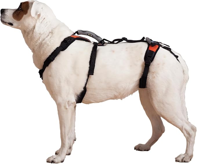 Help 'Em Up® - Dog Lift Harness│ Adjustable Lifting Harness for Dogs │ Full Body Support, Rear Leg Support (Conventional, Medium)