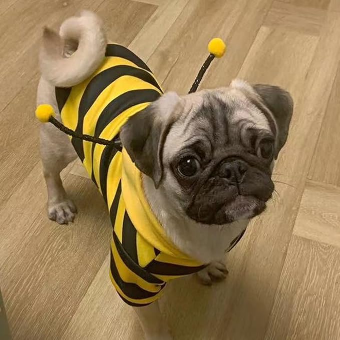 Funny Dog Hoodie Sweatshirt, Holiday Cat Sweater, Warm Clothes for Small Dogs, Yellow Cat Outfit, Puppy Hooded Coat, Pet Bee Costume for Halloween Christmas (Yellow, X-Large)