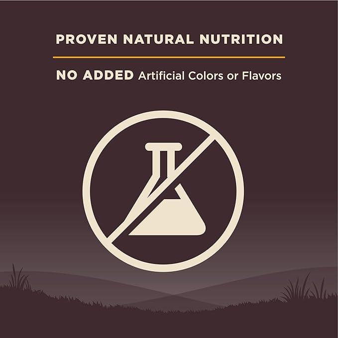 Wellness CORE Puppy Dry Dog Food, Grain-Free, High Protein, Natural, Chicken & Turkey Recipe, (26-Pound Bag)
