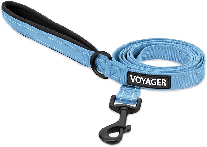 Best Pet Supplies Voyager Reflective Dog Leash or Collar with Neoprene Handle, for Small, Medium, and Large Breed Puppies, Cute and Heavy Duty for Walking, Running and Training - Baby Blue (Leash), S
