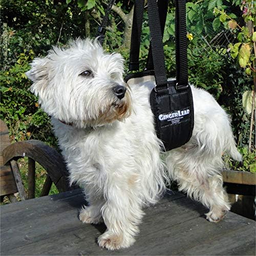 GINGERLEAD Dog Sling Support Harness, SM Female fits Small to Medium Size Pets or Larger Barrel Chested Dogs Like Boxers or Bullies. Padded Rear Lifting Aid with Leash. Made in U.S.A.
