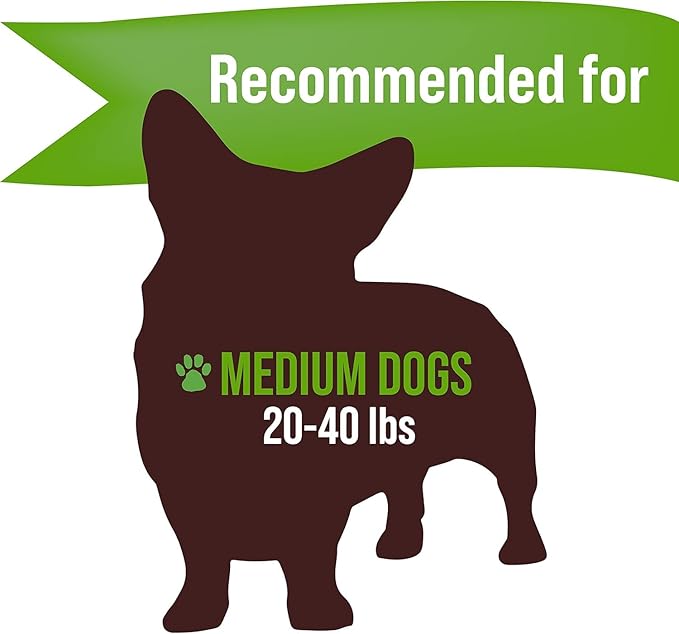 Buck Bone Organics Dog Chews, Elk Antlers for Dogs, Long Lasting Dog Bones for Aggressive Chewers, All Natural, No Preservatives, Wild Shed in The USA (Medium)