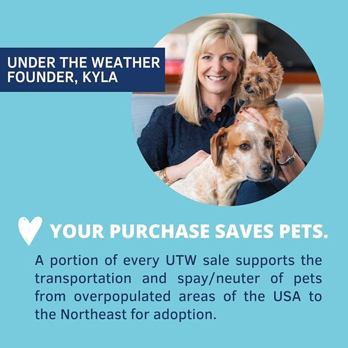 Under the Weather Bland Diet for Dogs | Easy to Digest for Sick Dogs |Always Be Ready| Contains Electrolytes - Natural Freeze Dried 100% Human Grade Meats| 1 Pack- Rice, Hamburger & Sweet Potato - 6oz