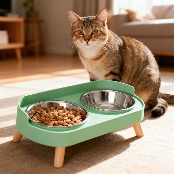 Elevated Cat Bowls, 2 Stainless Steel Raised Cat Food and Water Bowl Set, Splash Proof & Non-Slip, Whisker Fatigue Friendly, Dishwasher Safe for Cats and Small Dogs - Green