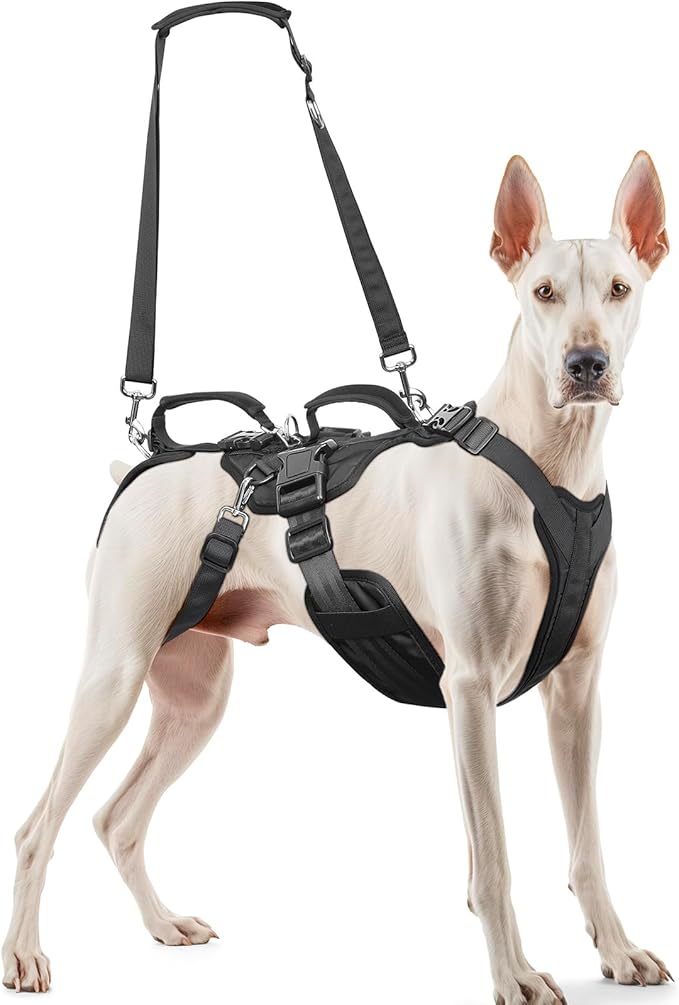 Dog Lift Harness for Large/Medium Dogs, Dog Support & Recovery Sling for Full-Body & Hind/Front Leg – Pee-Able Design – All-in-One Ideal Assistance for Senior, Disabled, Arthritic & ACL Canines (XL)