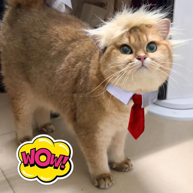 Donald Trump Style Pet Costume Dog Wig, Dog Clothes with Collar and Tie Head Wear for Halloween, Party, Festivals, Christmas(Yellow)