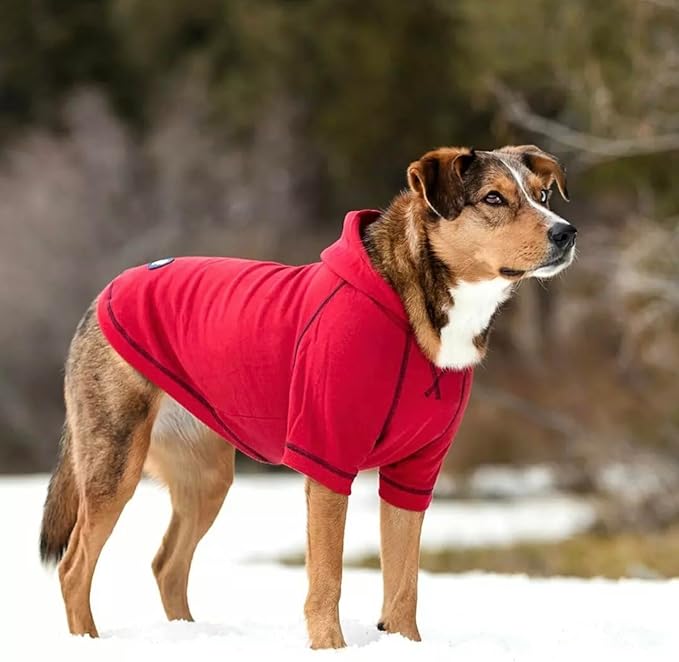 Blueberry Pet Essentials Hoodie – 10″ Soft Cotton‑Blend Mid‑Weight Sweatshirt with Hood, Award‑Winning Small‑Dog Jacket