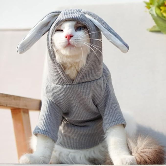 ANIAC Funny Small Dog Hoodies for Girl Boy Bunny Ears Dog Clothes Hooded Puppy Sweatshirt Cat Apparel Pet Costume for Easter Halloween Christmas Holiday (X-Large, Grey)