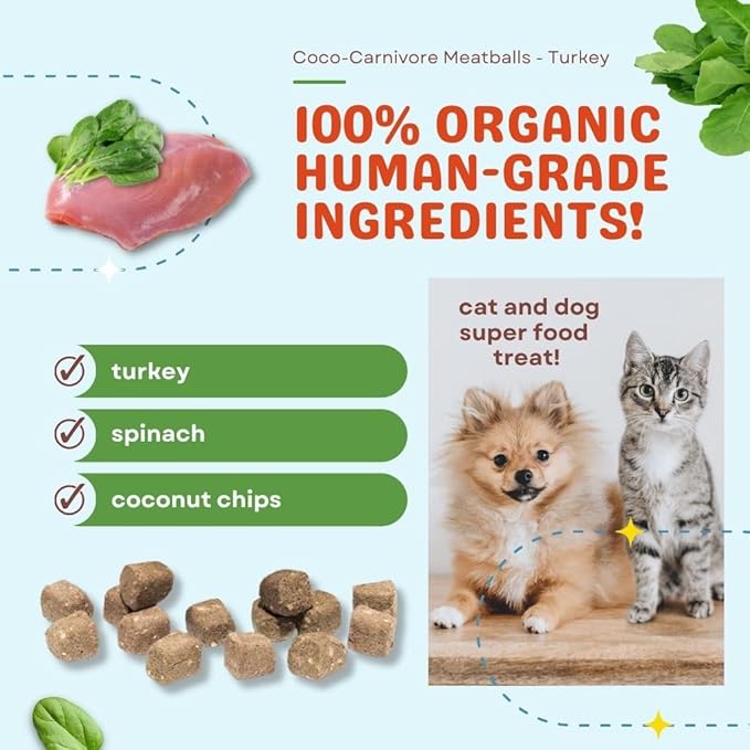 CocoTherapy Coco-Carnivore Meatballs 2.5 oz. (Turkey)