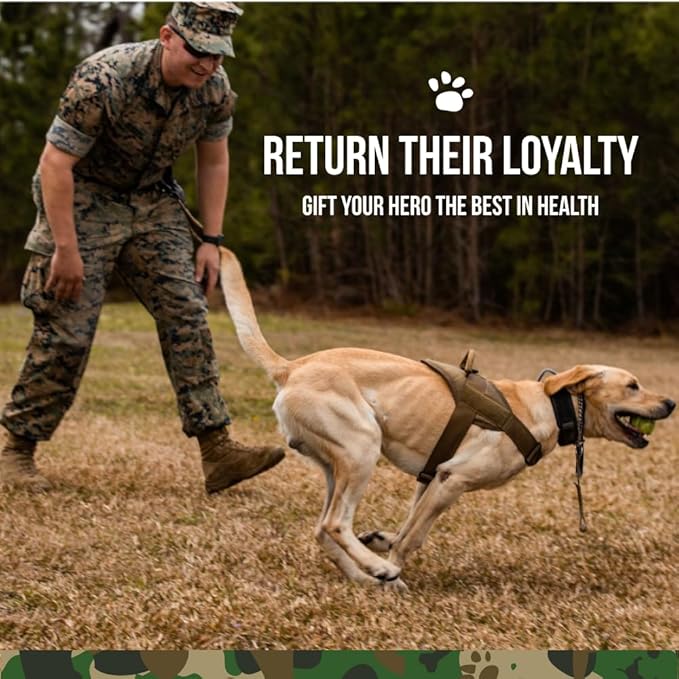 Operation Good Boy Hip & Joint Supplement for Dogs, Glucosamine, Chondroitin & MSM Chews – 90 Soft Treats, Natural Ingredients, Veteran Owned, Beef Flavored