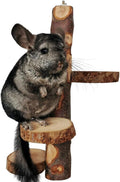 Chinchilla Large Hanging Wooden Rotating Platform - Small Animal Natural Fruit Wood Standing Platform for Squirrels, Sugar Gliders & Birds