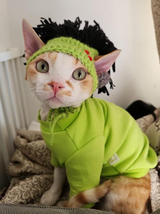 Cat Knitted Hat with Dreadlocks - Pet Woolen Cap Cool Wigs Cosplay Headwear for Sphinx Kitten Puppy Halloween Costume Party Accessories Christmas Birthday S (3.3 lbs - 6.6lbs), Green
