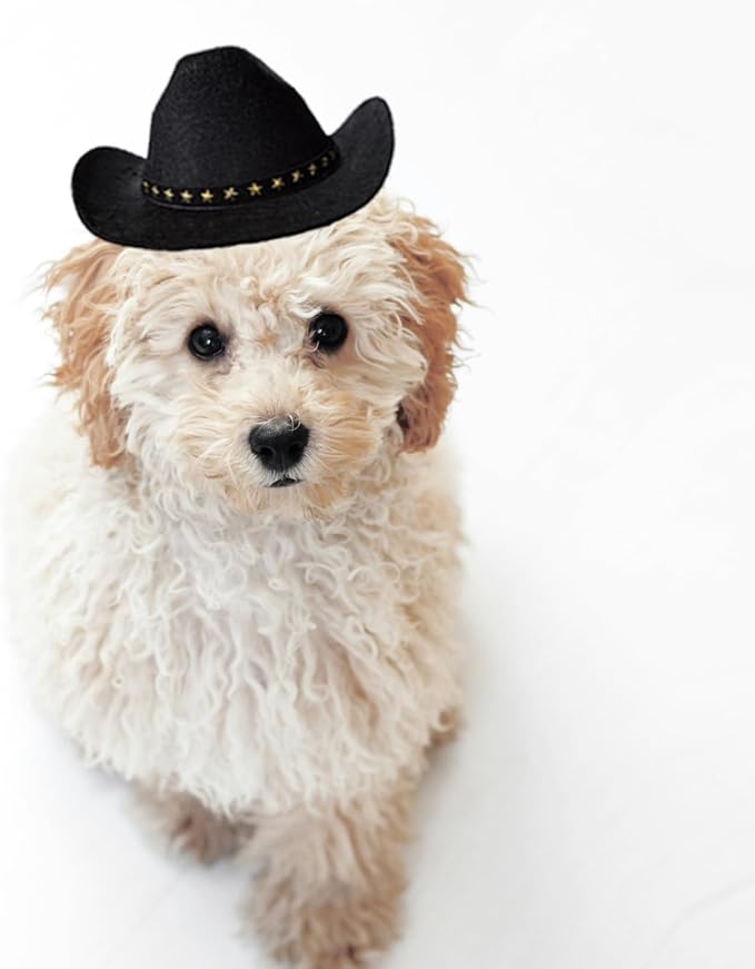 Dog Cowboy Hat Cat Cowboy Hat Mini Cowboy Hat for Dogs Cat Pet Cowboy Costume with Bandana Scarf Holiday Halloween Pet Party Decoration (Black, Large)