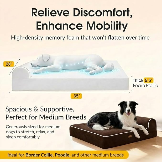 5.5 Inch Thick High Grade Orthopedic Memory Foam Dog Bed With Pillow and Easy to Wash Removable Cover with Anti-Slip Bottom. Free Waterproof Liner Included - for Large Breed Dogs