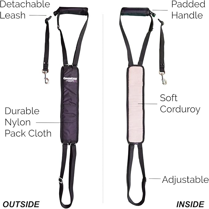 GINGERLEAD Dog Sling Support Harness, SM Female fits Small to Medium Size Pets or Larger Barrel Chested Dogs Like Boxers or Bullies. Padded Rear Lifting Aid with Leash. Made in U.S.A.