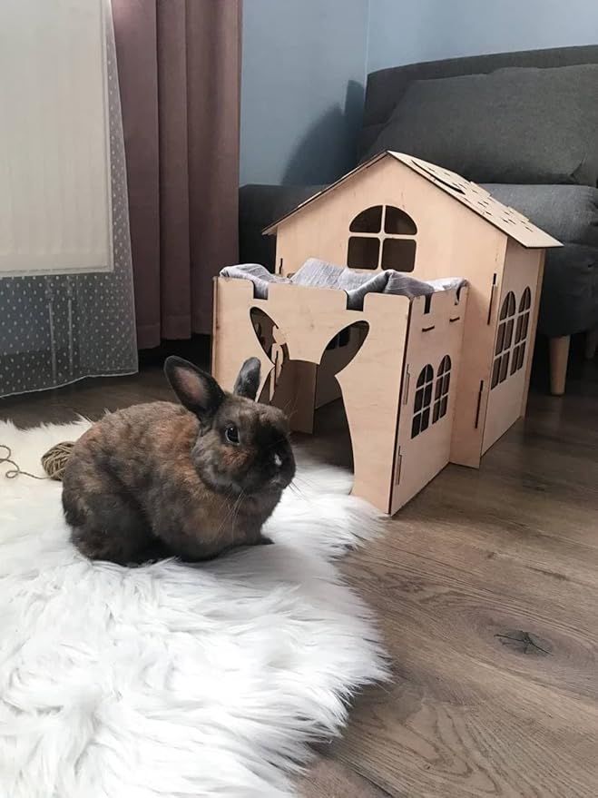 Bunny house with ladder, guinea pig house, rabbit furniture, bunny decoration, rabbit supplies, chinchilla house, pet bed, chinchilla (22.4x13.8x16.9 inch)