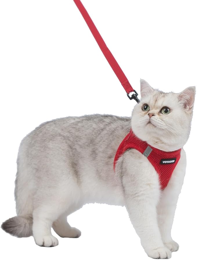 Voyager Step-in Pet Harness - All Weather Mesh, Adjustable Step in Harness for Cats and Dogs by Best Pet Supplies - 307S Red, XXXS