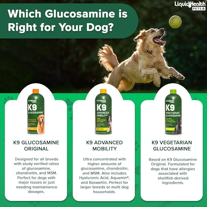 LIQUIDHEALTH 128 Oz K9 Liquid Glucosamine for Dogs, Puppies and Seniors - Chondroitin, MSM, Hyaluronic Acid – Dog Hip and Joint Health, Dog Vitamins for Dog Joint Pain, Dog Joint Oil - 1 Gallon
