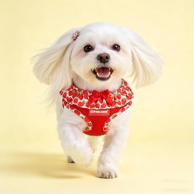 EXPAWLORER Cute Dog Harness Collar Leash Set - Red Girl Dog Harness Checkered Step-in Design, Adjustable No-Choke Lightweight Mesh Vest for Cats Puppy Small Dogs, Strawberry S