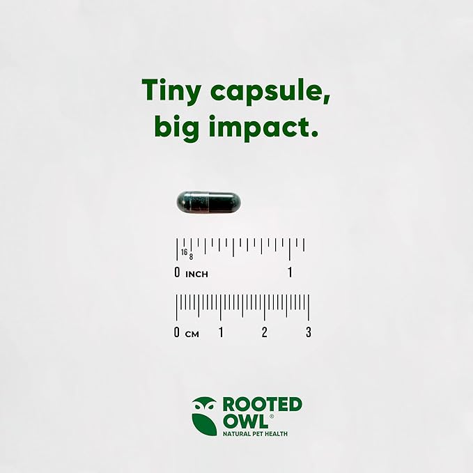 Rooted Owl Blood Support - Immunity, Recovery and Iron Supplement for Dogs & Cats - Anemia Support with Spirulina and Chlorella - 60/ct Vegan Capsules