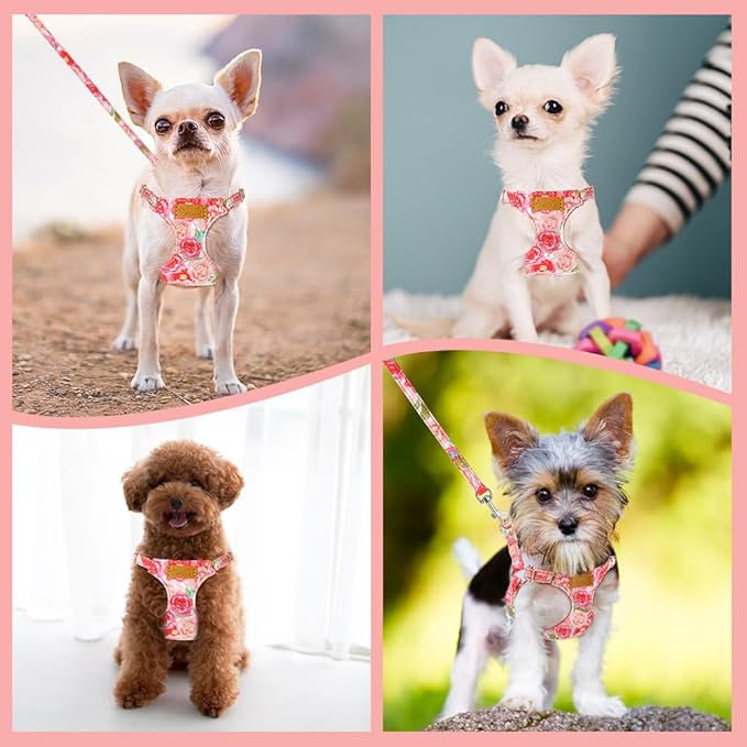 SlowTon Dog Harness Small Sized Dog - Soft XXS Dog Harness and Leash Set No Pull No Chock, Adjustable Lightweight Puppy Harness for XS Small Medium Dogs Cats (Pink Rose, XXS)