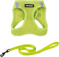 Voyager Step-in Pet Harness - All Weather Mesh, Adjustable Step in Harness for Cats and Dogs by Best Pet Supplies - 307S Lime Green, S