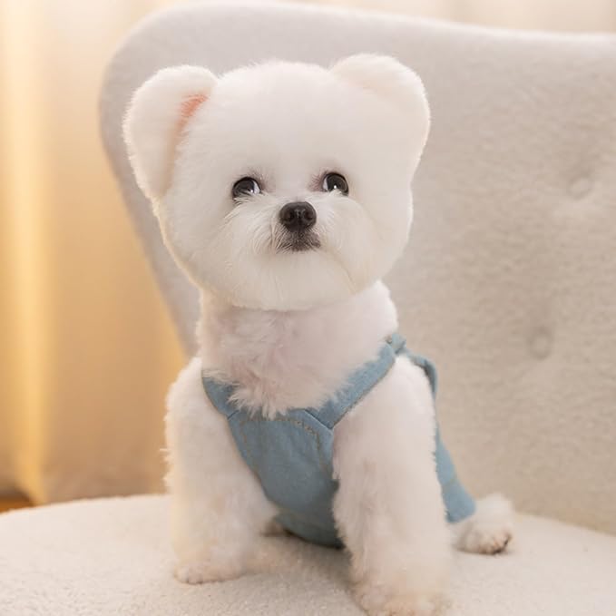 Dog Clothes Denim Dog Dresses for Small Dogs Harness Dress Puppy Clothes with Leash Ring Dog Costume with Pocket Summer Cat Apparel Dog Clothes Cat Shirts Small Dog Dresses Female Light Blue XX-Large