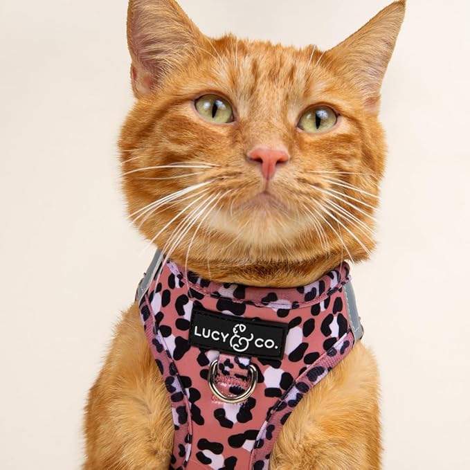 Lucy & Co. Wild Side Step-in Cat Harness & Leash Bundle – Reflective, Breathable & Adjustable Harness for Cats, Kittens & Small Dogs, Lightweight & Secure and Dual Leash Clips – Medium