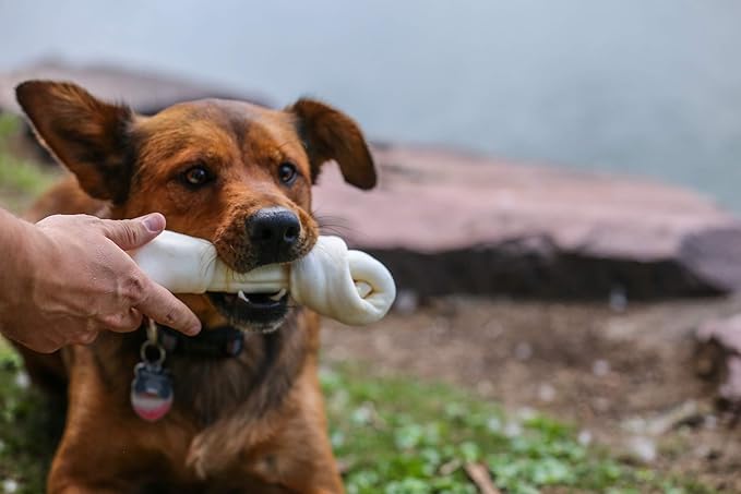 Top Dog Chews - Natural Beef Rawhide Bones (5 Pack), 8"-10" Long-Lasting Dog Bones for Aggressive Chewers, Digestible Dog Treats for Small, Medium & Large Breeds
