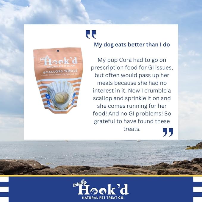 Totally Hook'd Freeze‑Dried Single‑Ingredient Treats, High‑Protein Omega-3 Training Snack for Dogs & Cats (1 Ounce, Scallops)