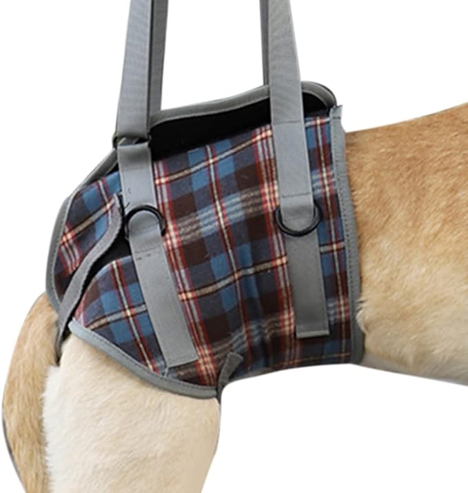 Dog Lift Harness, Adjustable Rear Leg Support Sling with Breathable Polyester, Mobility Aid for Disabled and Senior Dogs (M (12.5‑20kg / 27.6‑44.1lb Recommended))