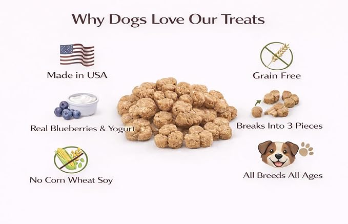 Grain Free Blueberry Yogurt Dog Treats - Crunchy Dog Biscuits, Low Calorie Training Treats for Dogs - Clover-Shaped Dog Cookies for All Breeds & Puppies, No Wheat Corn Soy - 20oz