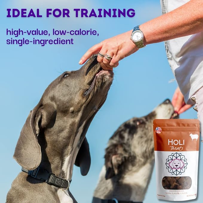 HOLI Freeze Dried Lamb Liver Dog Treats – Single Ingredient Freeze-Dried Dog Treats – Dried Lamb Liver Dog Treats Made in USA – Healthy Liver Treats for Dogs & Diabetic Dog Treat-Friendly - 2oz