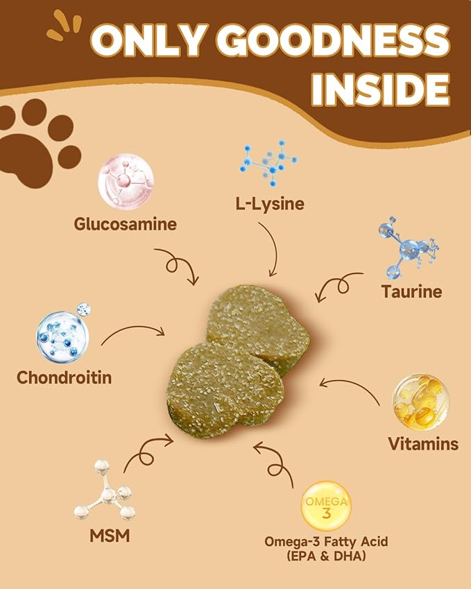Mushrooms for Dogs - Turkey Tail Mushroom for Dogs - Gut, Skin, Joint, Immune Health- Dog Lumps & Bumps - 13 Organic Mushrooms Turkey Tail, Reishi, Lions Mane, Glucosamine, MSM - Chicken Flavor