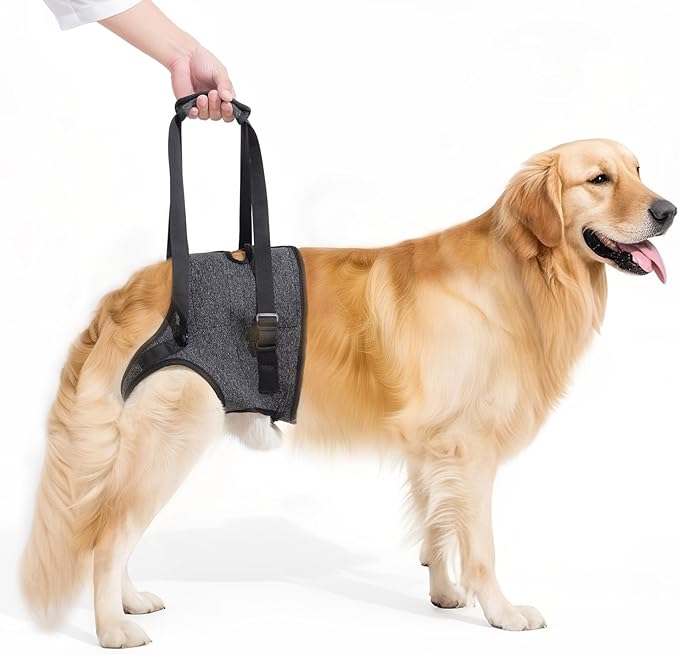 Dog Sling for Large Dogs Hind Leg Support, Adjustable Soft Padded Harness for Weak, Injured, or Disabled Back Legs, Helps Support Senior, Arthritic, and Mobility-Impaired Dogs (Medium)