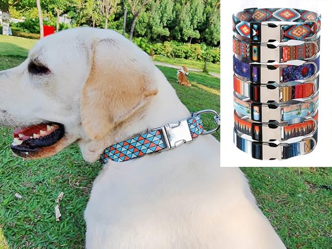 Dog Collar and Leash Set, Quick Release Buckle Soft Durable Print Puppy Collars Adjustable for Small Medium Large Pet Male Dogs Boy Cat Rainbow L