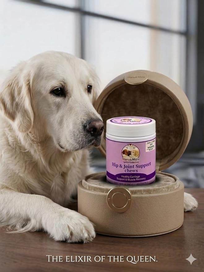 Haru & Mizu Hip & Joint Support Chews for Dogs, All Natural, Glucosamine and Chondroitin, 40 Soft Chews, 4.23 oz