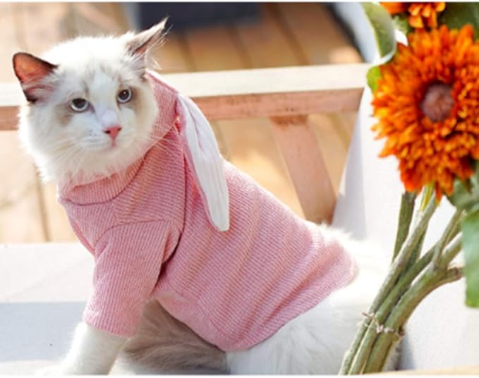 ANIAC Funny Dog Hoodies for Small Dogs Girl Boy Bunny Ears Pet Clothes Hooded Puppy Sweatshirt Cat Apparel Pet Costume for Easter Halloween Christmas Holiday (X-Large, Pink)